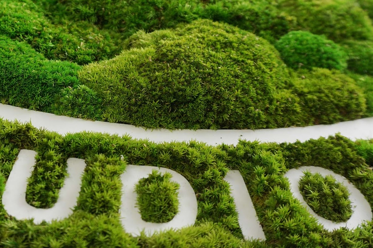 2.0.6 Moswand met letter. Kunst vergroeningen en decoratie in 1 project.