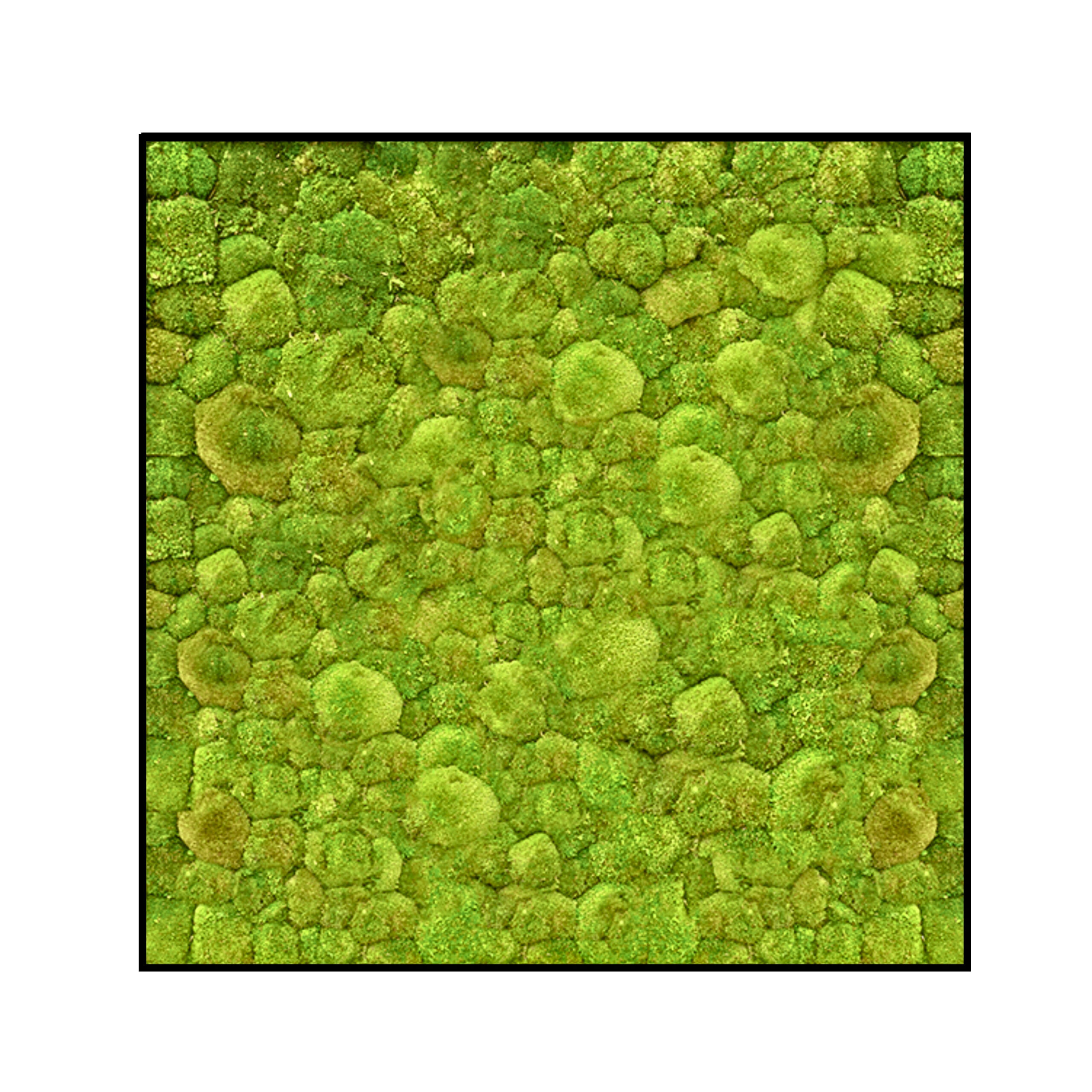 Bolmos Schilderij Woudgroen - Vierkant. Bolmos Schilderij Woudgroen Vierkant scaled