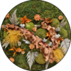 Jungle Schilderij Tropical Island Rond