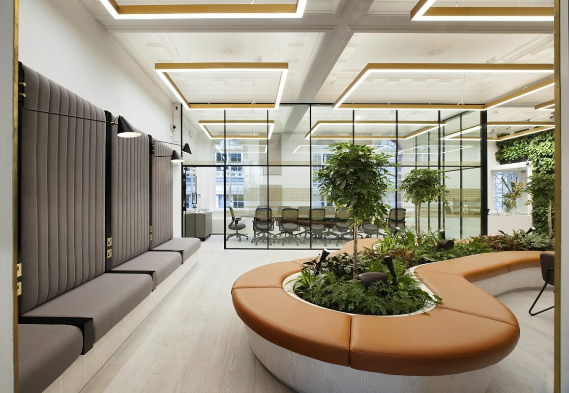 Veelgestelde vragen interieur beplanting