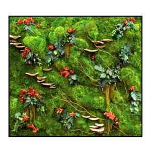 Jungle Schilderij Japanese Hillside Vierkant 1
