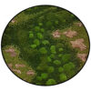 Jungle Schilderij Lost World Rond 2