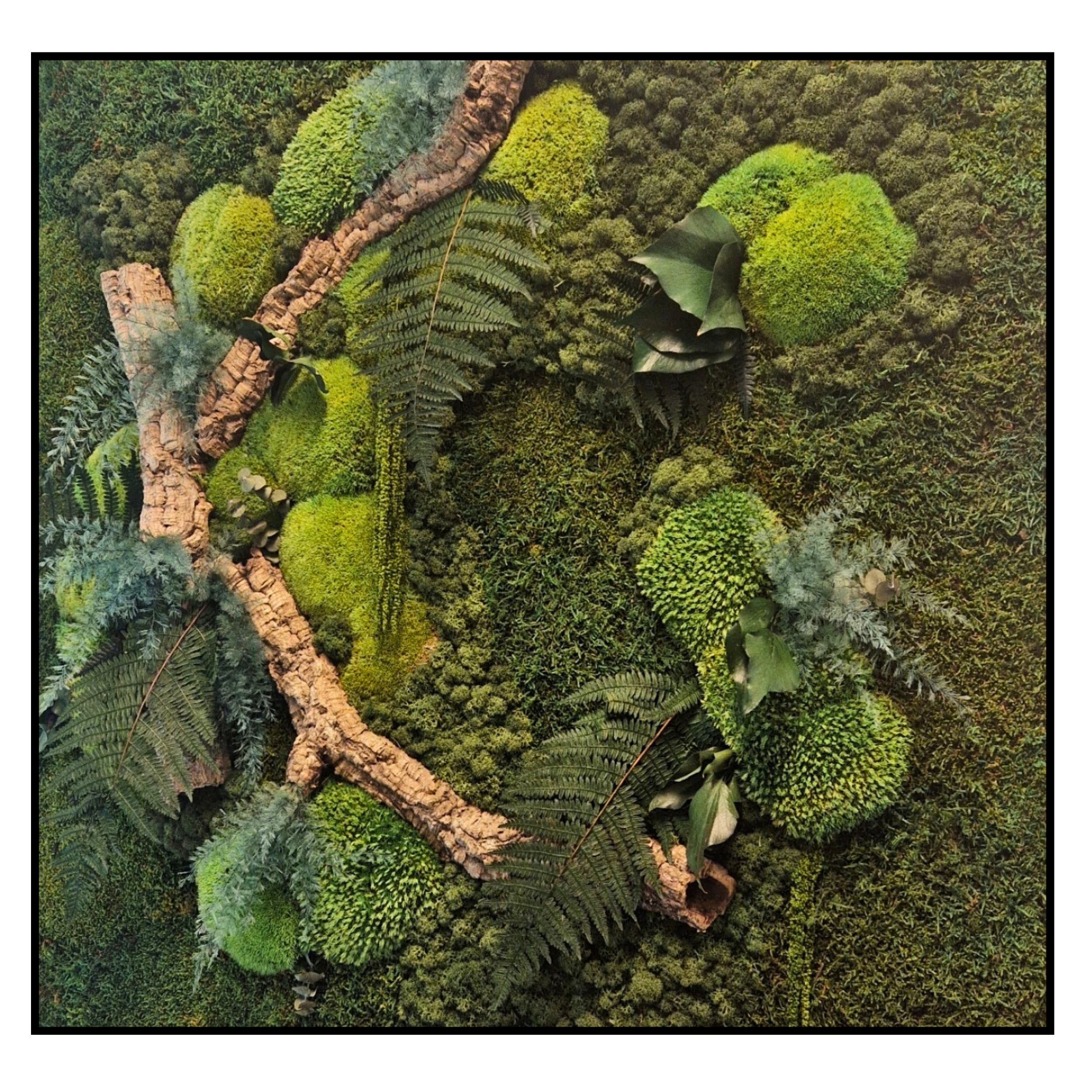Jungle Schilderij - New Zealand Brush - Vierkant (2) Jungle Schilderij New Zealand Brush Vierkant 2