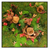 Jungle Schilderij - Spicy Colors - Vierkant 2 Jungle Schilderij Spicy Colors Panorama 1