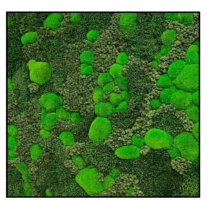 Mosschilderij Bright and Green Vierkant 1