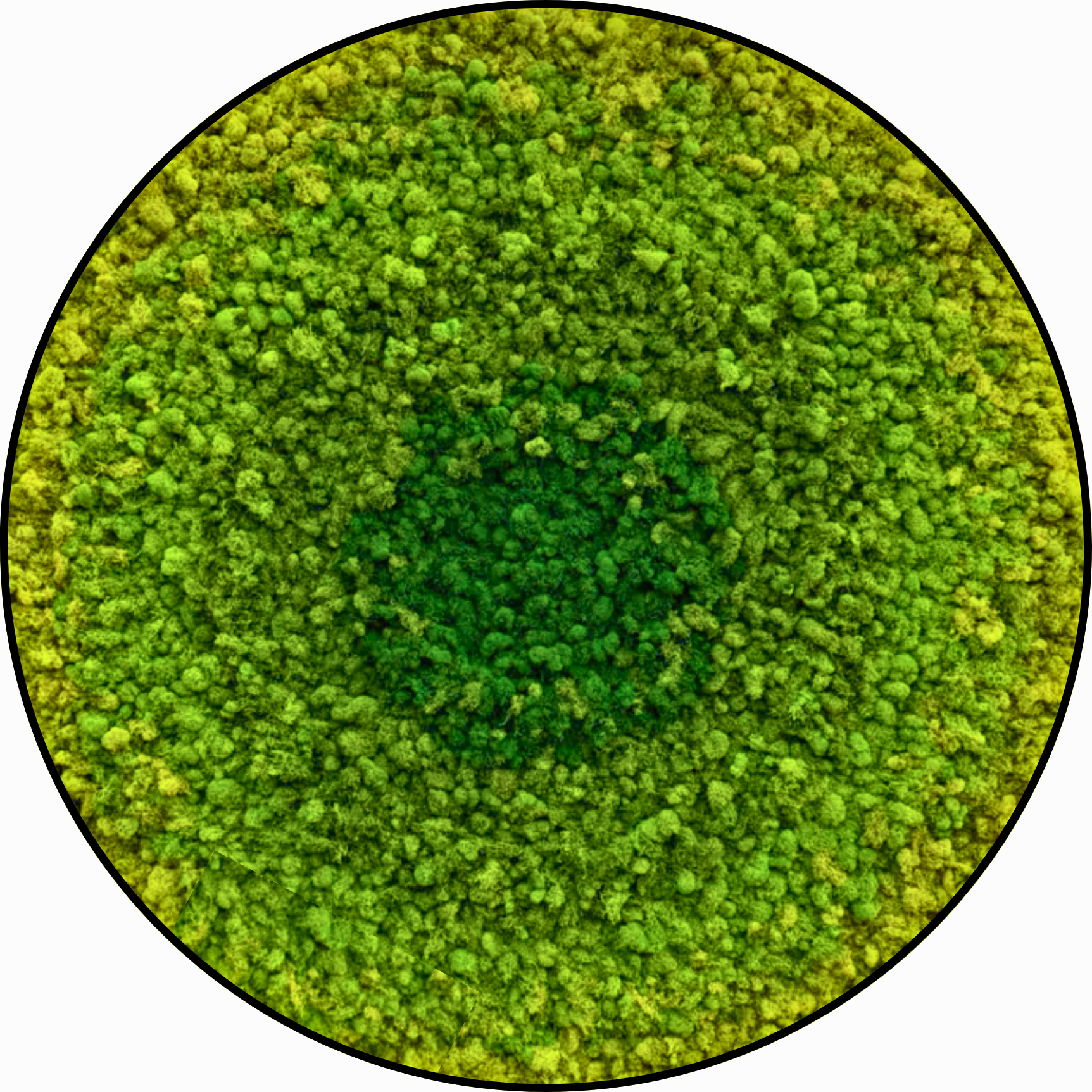 Rendiermos Schilderij - Green Bullseye - Rond (2) Rendiermos Schilderij Green Bullseye Rond 2
