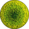 Rendiermos Schilderij Green Circles Rond 3