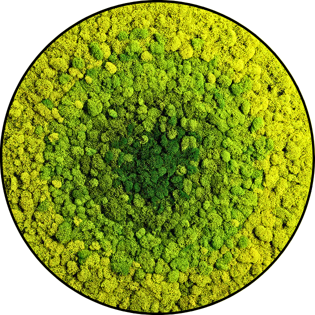 Rendiermos Schilderij - Green Circles - Rond (3) Rendiermos Schilderij Green Circles Rond 3