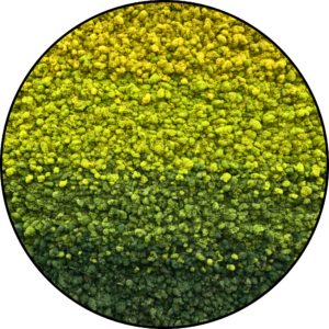 Rendiermos Cirkel - Green Gradient