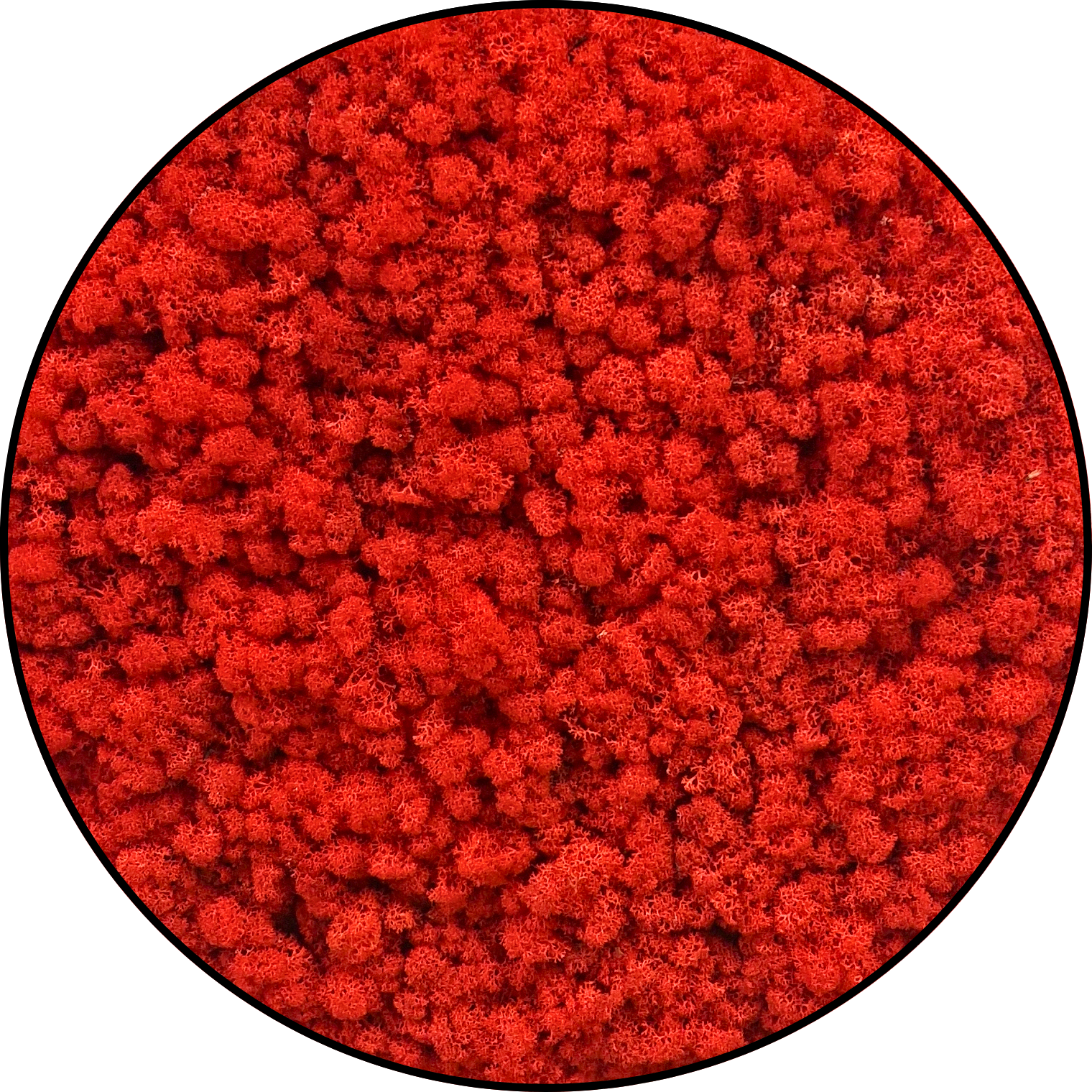 Rendiermos Schilderij rood - Rond Rendiermos Schilderij rood Rond