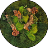 Mos cirkel - Autumn Vibes 2 Mos Cirkel Autumn vibes