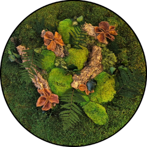 Mos cirkel - Autumn Vibes