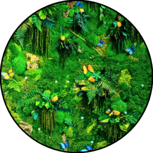 Mos Cirkel Delicate Balance