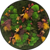 Mos Cirkel Jungle Fever Rond. 2