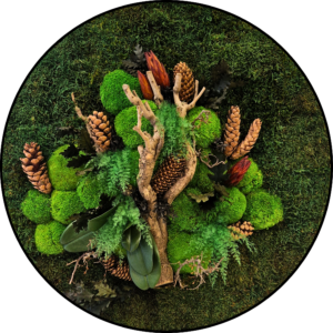 Mos Cirkel - Moss Pile