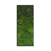 Bolmos Schilderij Dark Forest Strip