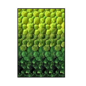 Bolmos Schilderij - Gradient - Rechthoek