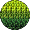 Bolmos Schilderij Gradient Rond
