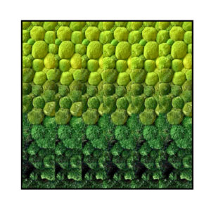 Bolmos Schilderij - Gradient - Vierkant