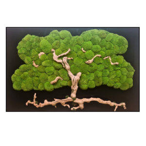 Bolmos Schilderij Green Tree Rechthoek 2