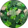 Mos Cirkel Pink Grass Rond