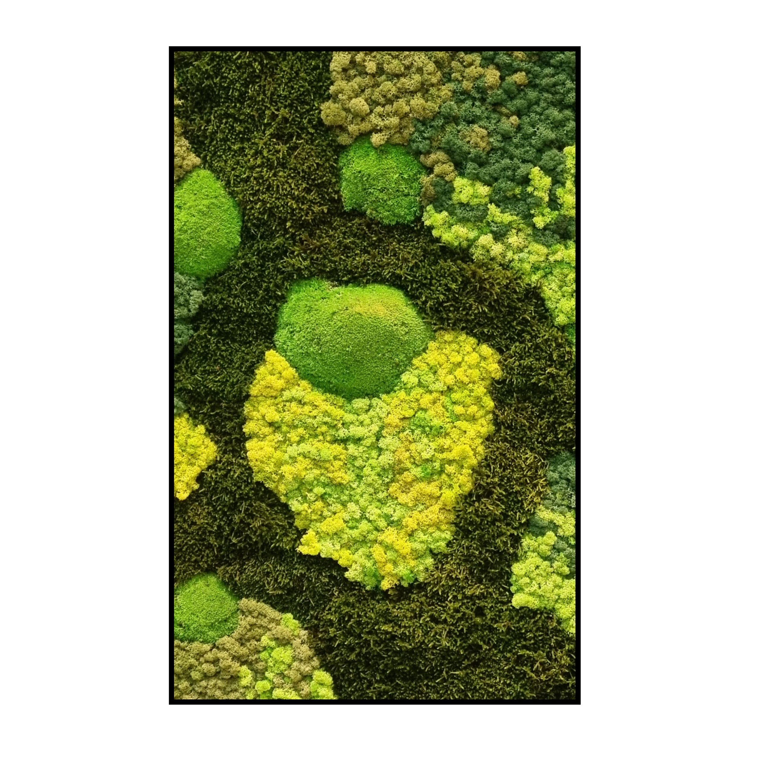 Mos Schilderij - Green Heart - Panorama (1) Mos Schilderij Green Heart Panorama 1 scaled