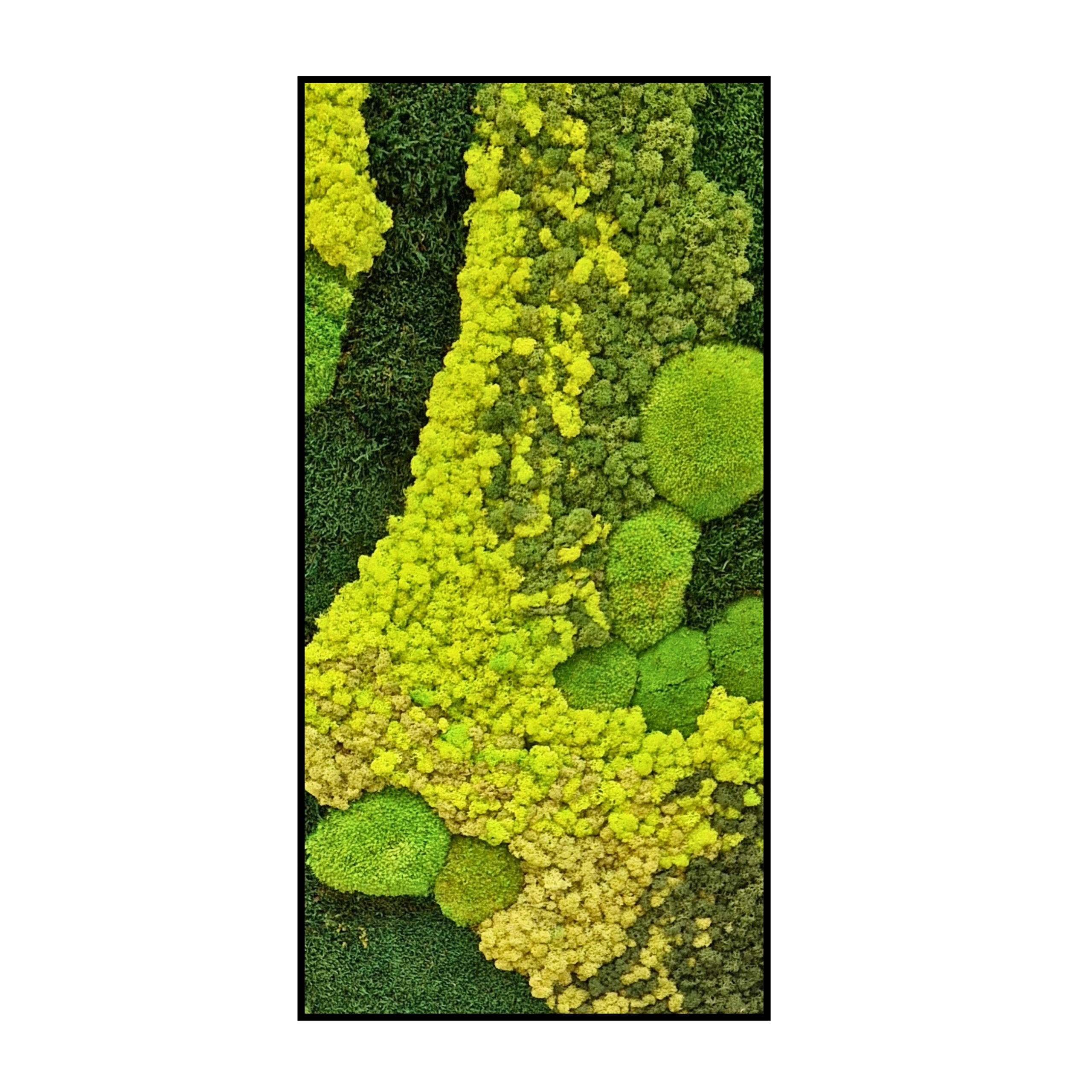Mos Schilderij - Green and Yellow - Panorama (1) Mos Schilderij Green and Yellow Panorama 1 scaled