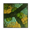 Mos Schilderij - Pacific Green - Vierkant 1 Mos Schilderij Pacific Green Vierkant 1