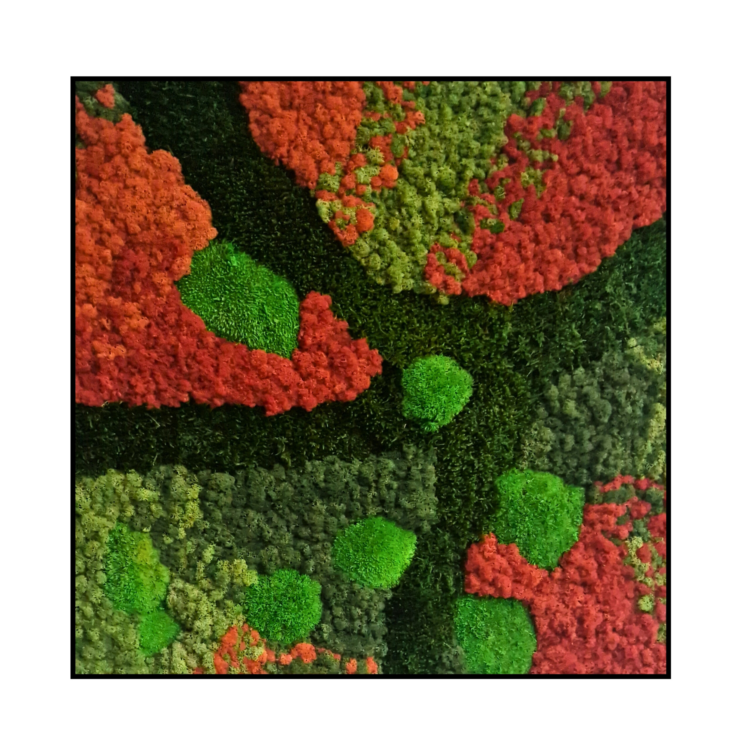 Mos Schilderij - Shades of Red - Vierkant (1) Mos Schilderij Shades of Red Vierkant 1 scaled