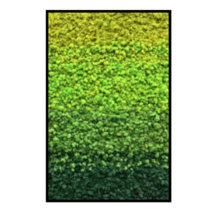 Rendiermos Panorama - Green Gradient