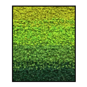 Rendiermos Rechthoek - Green Gradient