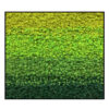 Rendiermos Schilderij Gradient Colors Vierkant 1