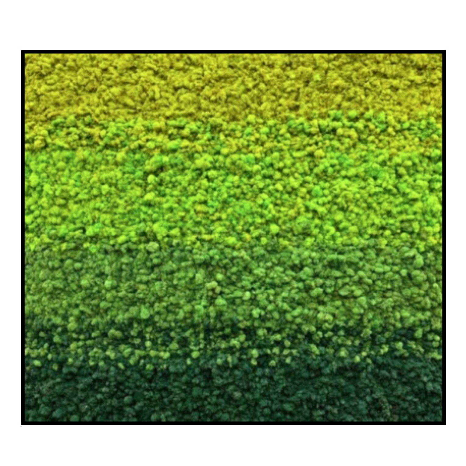 Rendiermos Schilderij - Gradient Colors - Vierkant (1) Rendiermos Schilderij Gradient Colors Vierkant 1