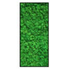 Rendiermos Schilderij Groen Strip 1