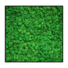 Rendiermos Schilderij Groen Vierkant 1