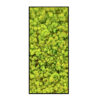 Rendiermos Schilderij Lentegroen Strip 1