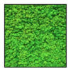 Rendiermos Schilderij Lichtgroen Vierkant 1