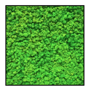 Rendiermos Vierkant Lichtgroen
