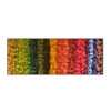 Rendiermos Schilderij Waves of Color Strip 2