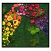 Bloem Schilderij - Rainbow Colors - Vierkant 2 Bloem Schilderij Rainbow Colors Vierkant 2