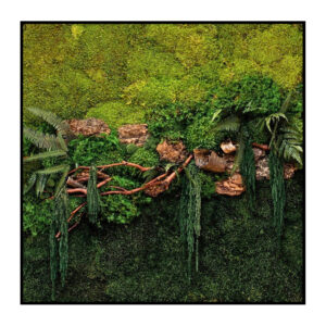 Verzendkosten 10 Jungle Schilderij Dark and Light 1