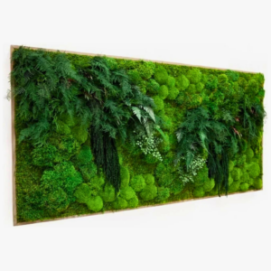 Verzendkosten 16 Jungle Schilderij Fern Forest Panorama 2