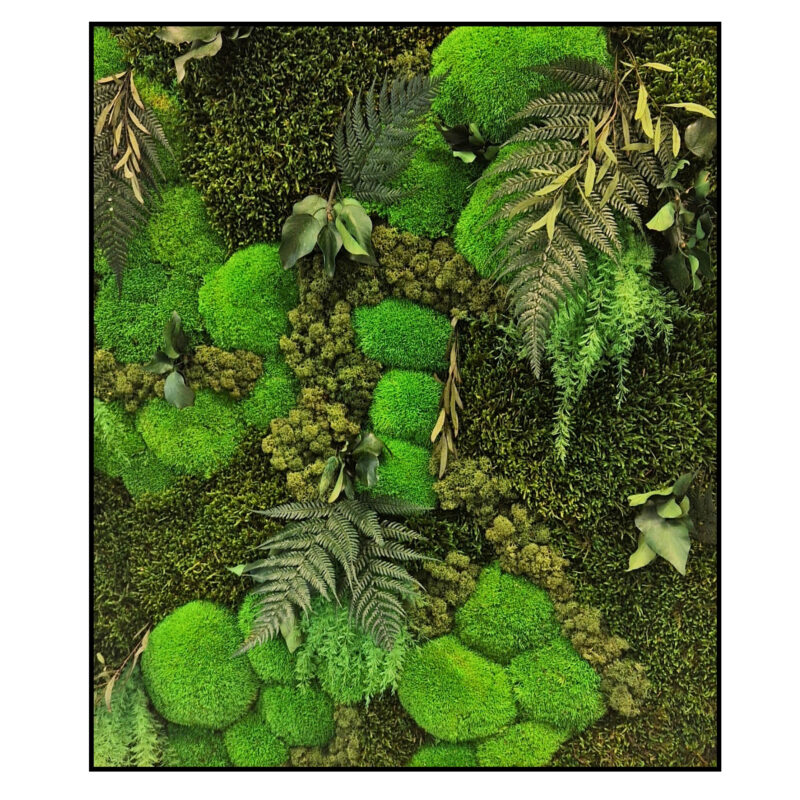Jungle Schilderij Shady Greens Rechthoek 1