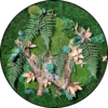 Mos Cirkel Bounty Island