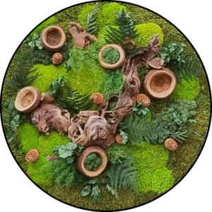 Mos Cirkel – Eternal Forest