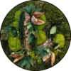 Mos Cirkel Hanging Garden