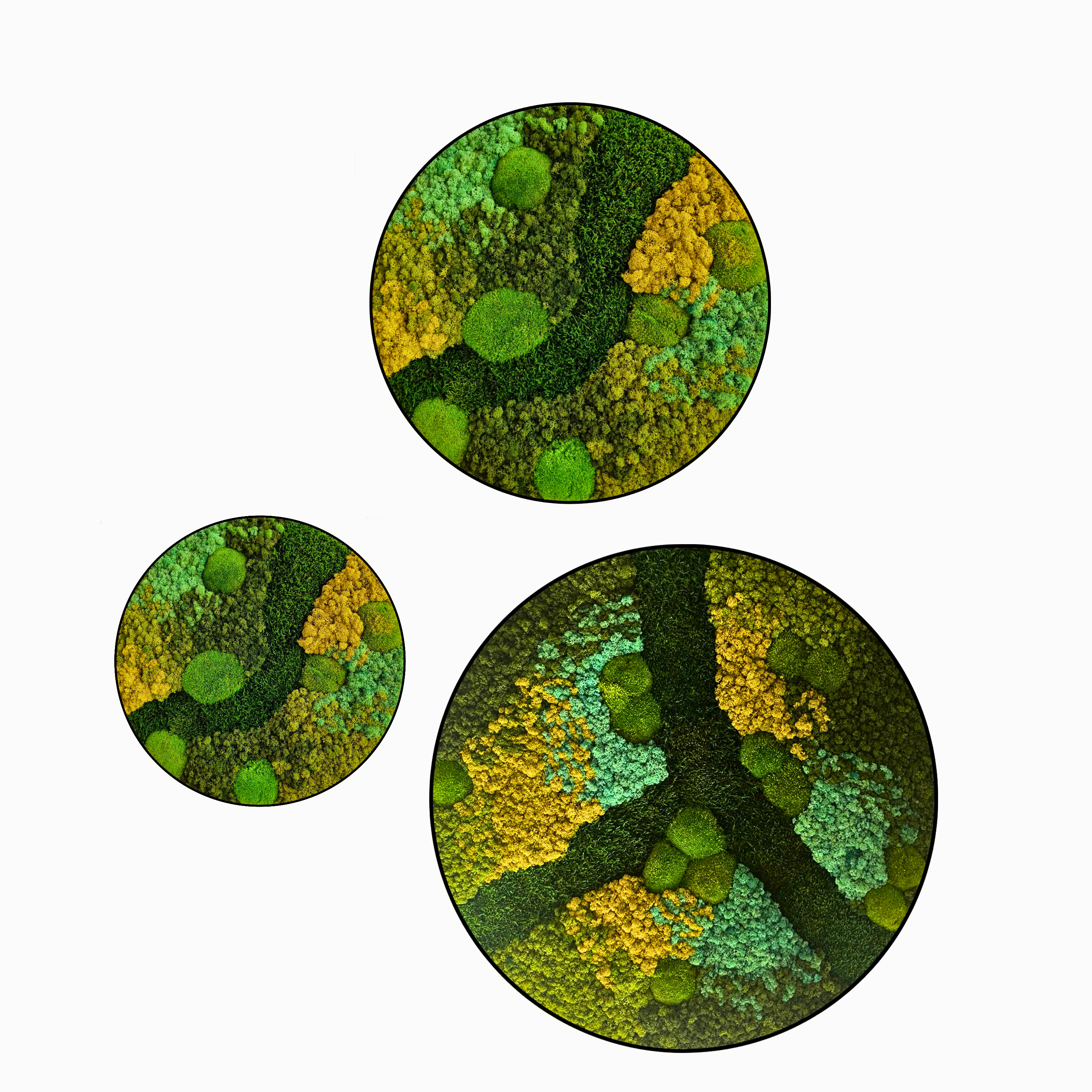 Mos Cirkel - Pacific Green - 3 Luik. Mos Cirkel Pacific Green 3 Luik