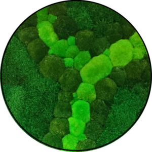 Verzendkosten 9 Mos Cirkel River Fork