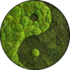 Mos Cirkel Ying Yang 2