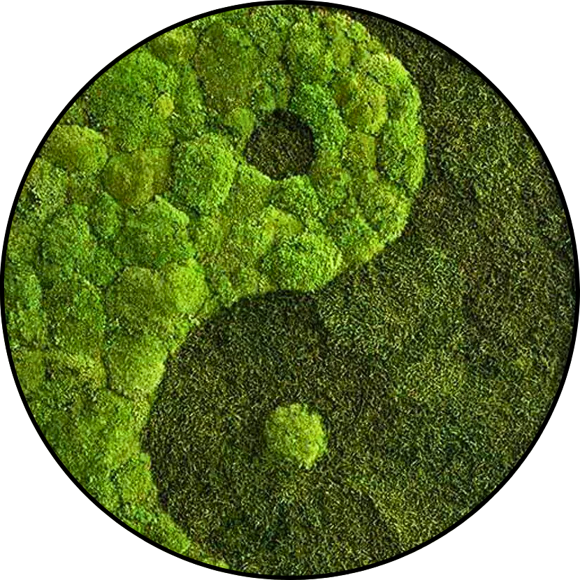 Mos Cirkel - Ying Yang (2) Mos Cirkel Ying Yang 2